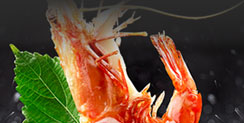 良緣美滿(mǎn)全包宴